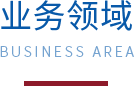 业务领域